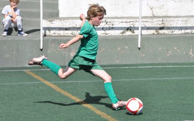 Oficials els nous horaris d’entrenament