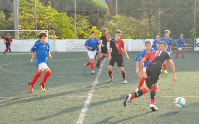 Es volen posar líders