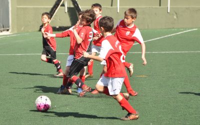 Els vuit magnífics: punts en el 80% dels partits